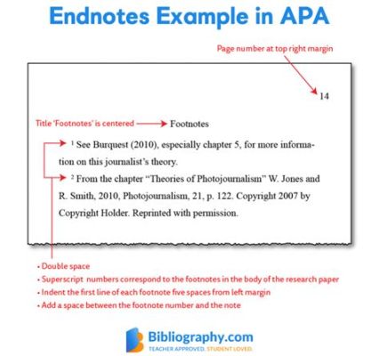 what are endnotes in an essay? and how do they enhance the credibility of academic writing?